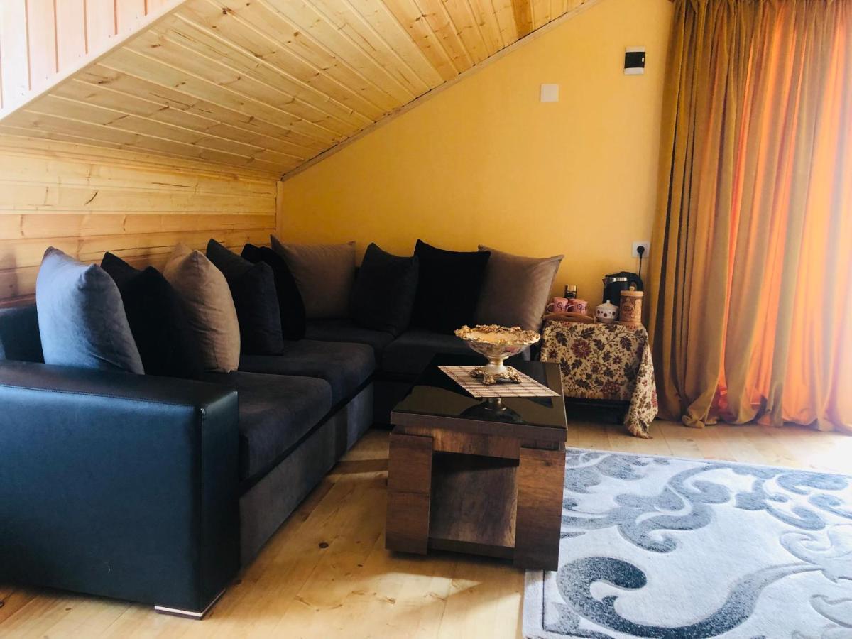 Hotel Nestt Казбеги Екстериор снимка